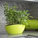 Матовое овальное светло-зеленое кашпо для комнатных растений 35*15*15см, Луна