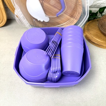 Большой набор пластиковой посуды для пикника на 6 персон 38 предмета Фиолетовый Plastar Pak