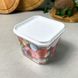 Квадратний контейнер для сипучих продуктів 0.6 л Фікс Алеана