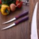 Набор томатных фиолетовых ножей Tramontina Cor&Cor 102мм. 2шт (23462/294)