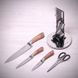 Набор кухонных ножей с ножницами Kamille 5 предметов на акриловой подставке
