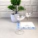 Набор бокалов для белого и красного вина Luminarc "Versailles" 270 мл 6 шт (G1509)