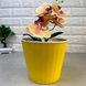 Кашпо желтого цвета для комнатных растений с дренажной вставкой 1,7л 15,7*13,0 см, Ибис Алеана