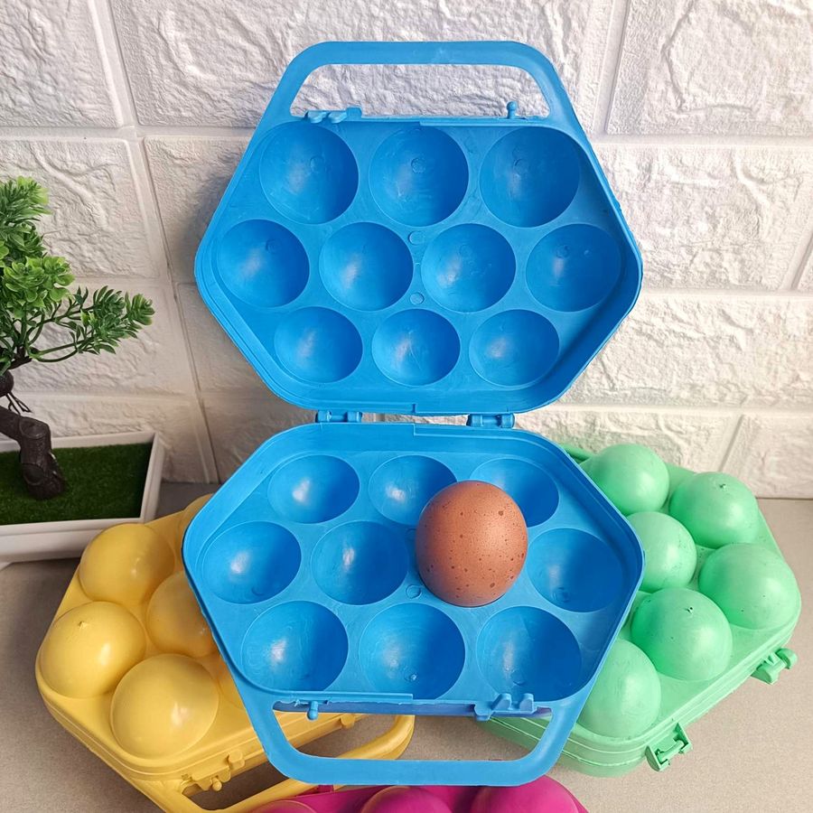 Пластиковый лоток с литой ручкой для хранения и транспортировки десятка яиц Укрпласт