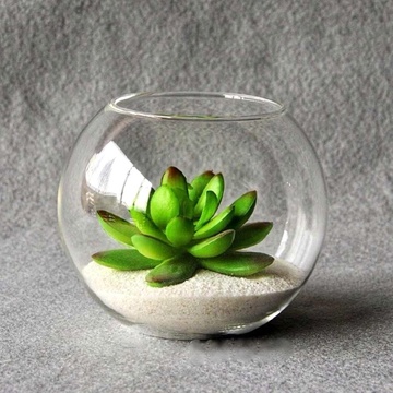 Шарообразная стеклянная ваза-аквариум aquarium MAZHURA 7,7 л MAZHURA