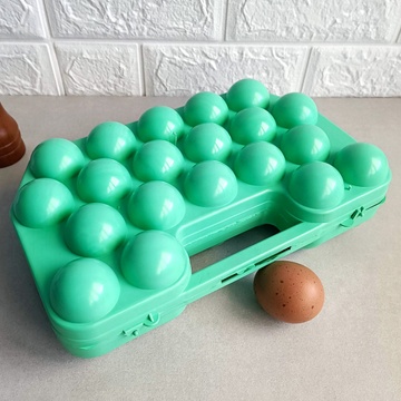 Пластиковий лоток з литою ручкою для зберігання та транспортування двадцяти яєць Укрпласт