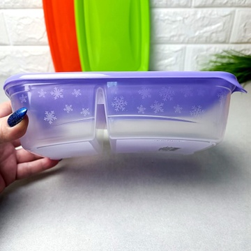 Подвійний пластиковий контейнер для зберігання їжі на 2 відділення 0.6+0.4л Ал-Пластик