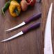 Набор томатных ножей Tramontina фиолетовых Cor&Cor 127мм. 2шт (23462/295)