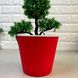 Червоний вазон для кімнатних рослин з дренажною вставкою 1,7л 15,7*13,0 см, Ібіс оксамит Алеана