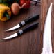 Набір ножів-пилок для шинкування Tramontina Cor & Cor 76 мм 2 шт (23462/203)