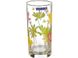Набір склянок скляних з квітами Luminarc Luminarc Crazy Flower 270 мл 6 шт (N0753)