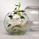 Круглая ваза-шар из стекла Pasabahce Флора 160х120мм (45068)