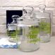 Набір скляних банок з салатовими написами Luminarc Jar Pot Club Coffee Tea 3 шт 0,5 + 0,75 + 1 л (p6667)