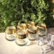 Набір низьких склянок із золотою смугою Гусь-Хрустальний "Новий Версаче" 6 шт (EAV08-2070)