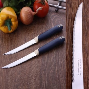 Набір ножів для стейка Tramontina Multicolor 215 мм 2 шт (23529/215) Tramontina