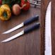 Набір ножів для стейка Tramontina Multicolor 215 мм 2 шт (23529/215)