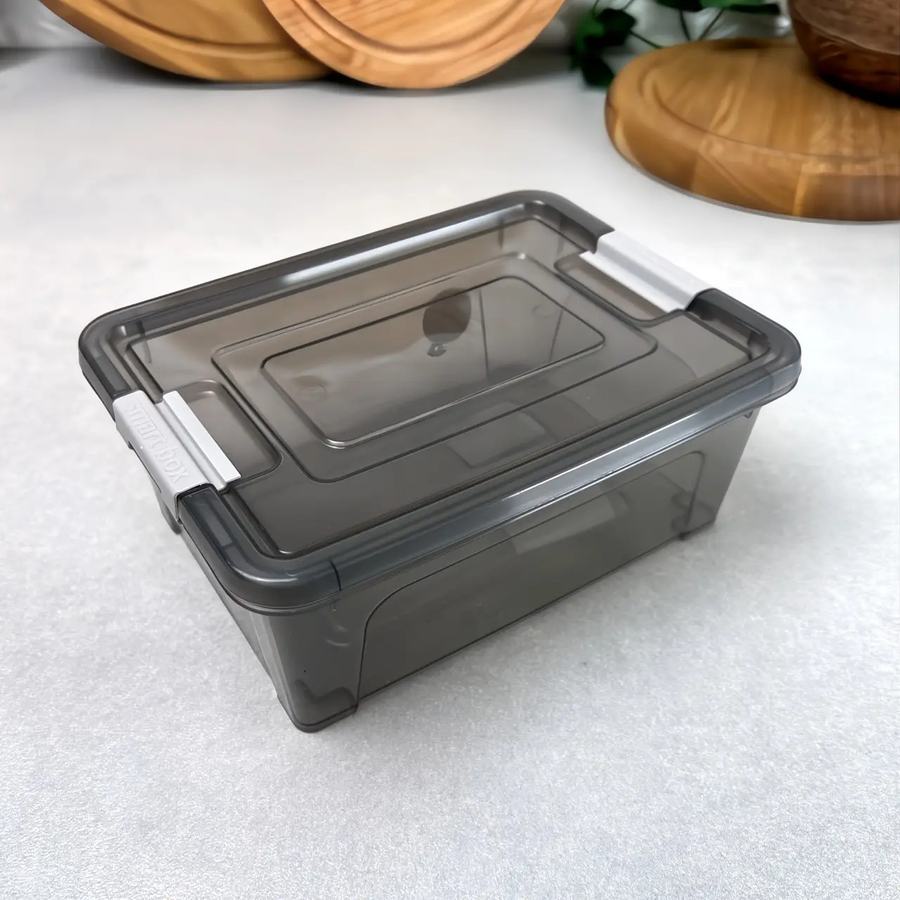 Пластиковый контейнер с крышкой для хранения 650 мл Коричневый Smart Box Practice Алеана