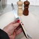 Нож обеденный гладкий 22 см HLS brilliance (ВС-7/05)