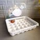 Пластиковий лоток для зберігання та транспортування яєць 30 шт