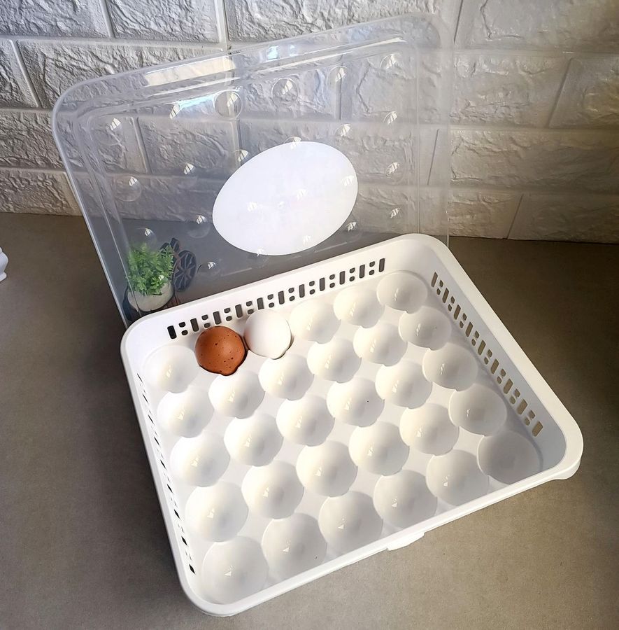 Пластиковый лоток для хранения и транспортировки яиц 30шт BEE HOME