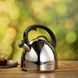 Чайник со свистком 2.5л для всех видов плит ARDESTO Gemini