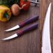 Набір ножів для чищення овочів Tramontina Cor & Cor 76 мм 2 шт (23462/293)