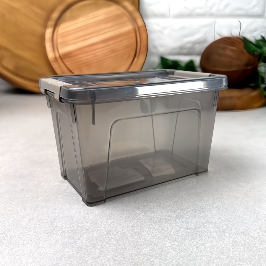 Пластиковый пищевой контейнер с крышкой для хранения Дымка 375 мл Smart Box Алеана