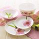 Столовый сервиз с розовой орхидеей с супником Luminarc Water Color 19 предметов (E4905)