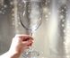 Келих скляний для вина Pasabahce «Енотека» 590 мл (44738 / sl)