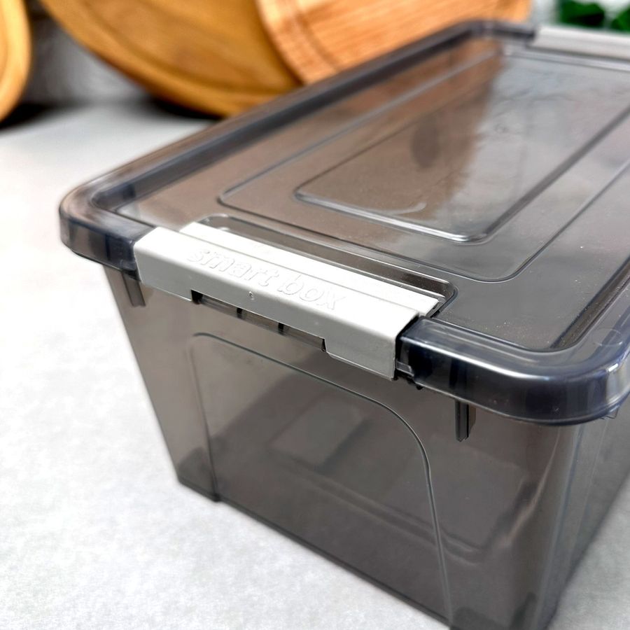 Пластиковий харчовий контейнер із кришкою 2,5 л Smart Box Димка Алеана