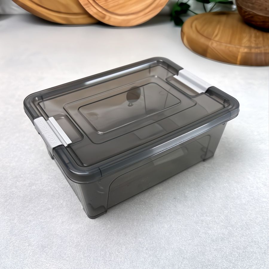 Пластиковий контейнер із кришкою для зберігання 0.285 л Smart Box Какао Алеана