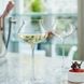 Набір келихів для білого вина Arcoroc C&S "Macaron" 300 мл (N6386)