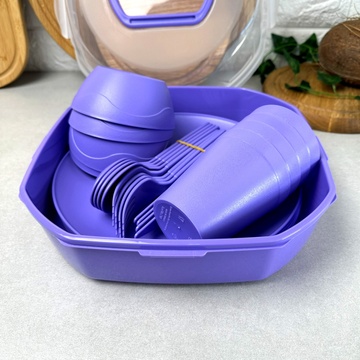 Набір пластикового посуду для пікніка на 4 персони 25 предметів Фіолетовий Plastar Pak