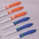 Набір ножів для очищення 12 шт з нержавіючої сталі з пластиковими ручками Kamille