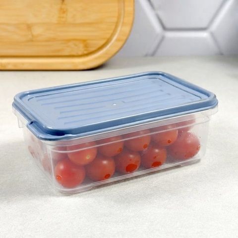 Контейнер для продуктов Smart 0,5 л пластиковый Dunya 30921 Dunya Plastik