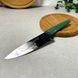 Нож кухонный 29.5 см Шеф Tramontina LYF Зелёная рукоять