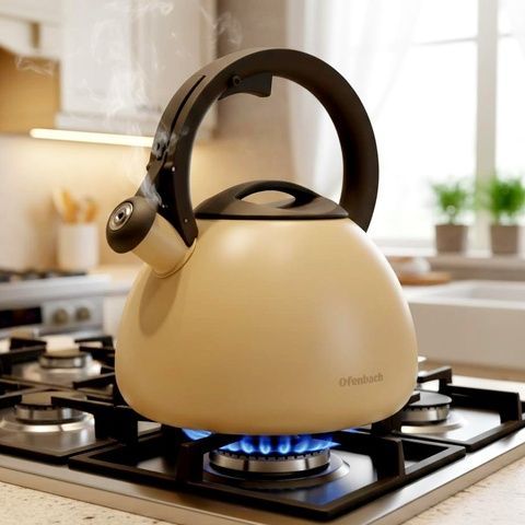 Чайник со свистком 2,7 л нержавеющая сталь бежевый Ofenbach NB100322 Ofenbach